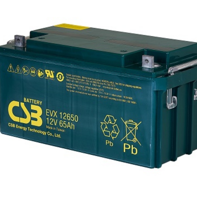 EVX12650